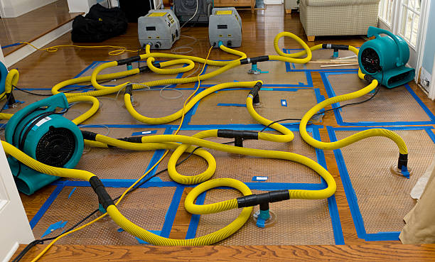 Professional Water Damage Repair technician working in Greenville, IN